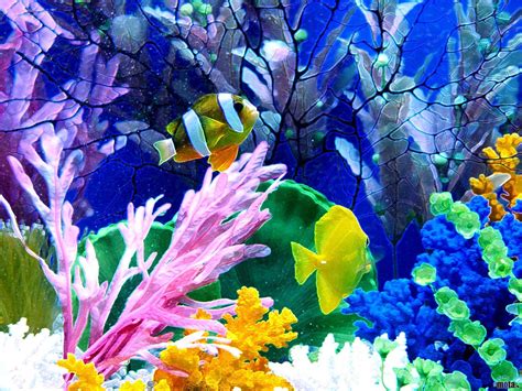 33 Attractive Aquarium background – Technosamrat