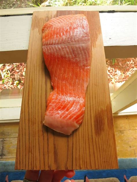 Pit Boss Salmon Recipe Simply Meat Smoking