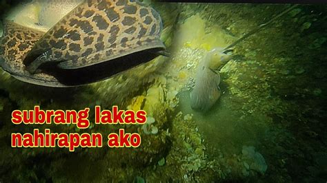 Ep Dive Ahas Dagat Subrang Lakas Nahirapan Ako Night Spearfishing