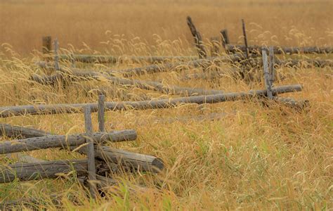 Grazing Fence Photograph by Dan Ballard - Fine Art America