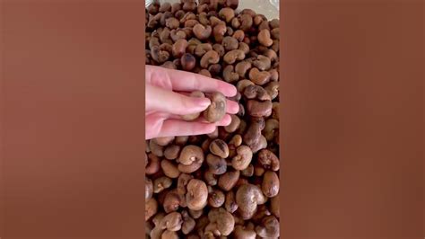 🥜 ВЫ УЗНАЛИ, ЧТО ЭТО ЗА ОРЕХ?? - YouTube