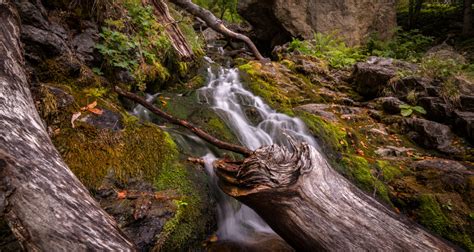 Bildet Landskap Tre Natur Skog Stein Foss Lita Elv Bekk