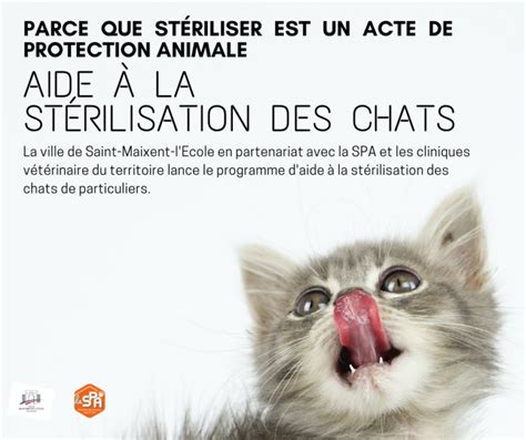 Aide La St Rilisation Des Chats Particulier Site Officiel De La