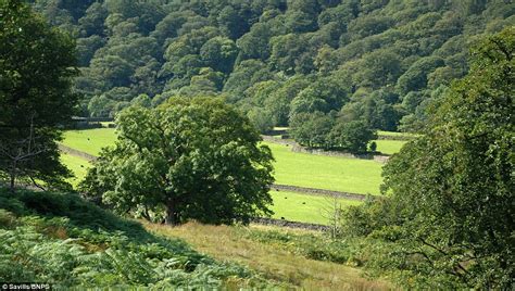 Idyllic Farm In The Lake District Goes On The Market Daily Mail Online