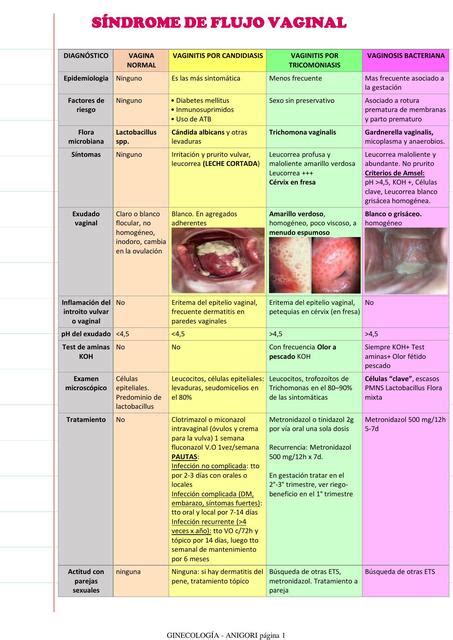 Sindrome Del Flujo Vaginal Ivon Gonzalez Rivera UDocz