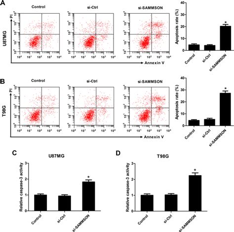 Sammson Knockdown Induced Apoptosis Of Gbm Cells U87mg And T98g Cells