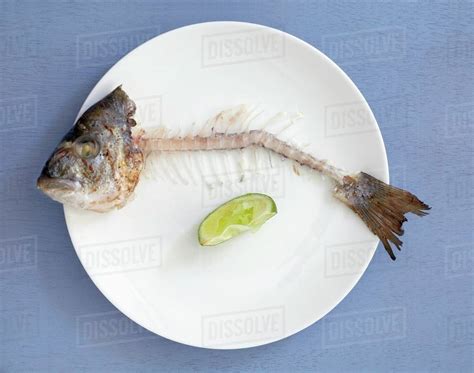 Fish Bones With Head And Tail On Plate Overhead View Stock Photo