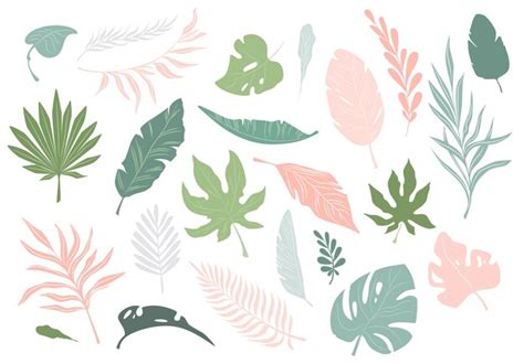 Premium Vector Vector Set Of Various Stylized Tropical Leaves