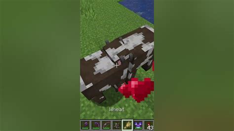 What Do Minecraft Cows Eat Youtube