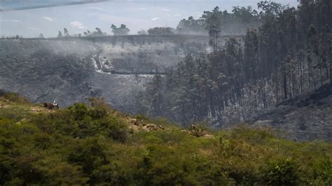 Declaran Emergencia Nacional En Ecuador Por Incendios Déficit Hídrico