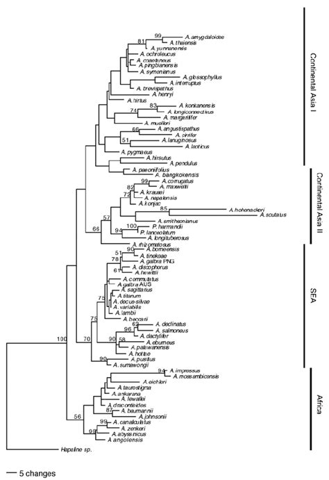 The Maximum Parsimony Tree Of 253317 Trees With The Highest Likelihood