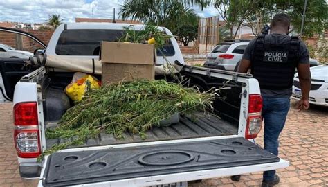 Homem é Preso Por Suspeita De Tráfico De Drogas E Posse Ilegal De Arma