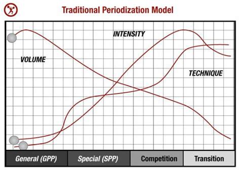 Periodization The Stages For Strength Gains