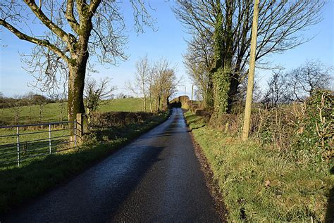 Trees Along Radergan Road Kenneth Allen Cc By Sa Geograph