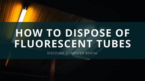 How To Dispose Of Fluorescent Light Bulbs In Florida Shelly Lighting