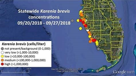 Lower concentrations of red tide found in Pinellas, Manatee, Sarasota ...