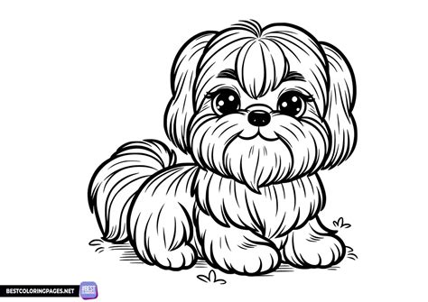 Shih Tzu Printable Coloring Page Free Printable Coloring Pages