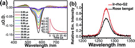 A Nanosecond Time Resolved Transient Difference Absorption Spectra Of