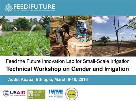 Technical Workshop On Gender And Irrigation Ppt Download