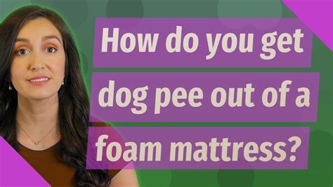 How Do You Get Dog Pee Out Of A Foam Mattress Youtube