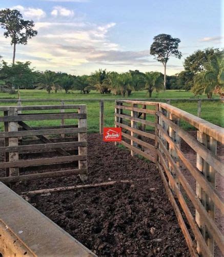 Fazenda Em Cocalinho Mt Beira Rio Tima Rea