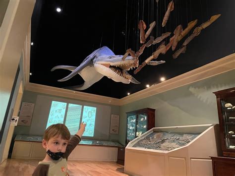Mayborn Museum – Dino Dad Reviews
