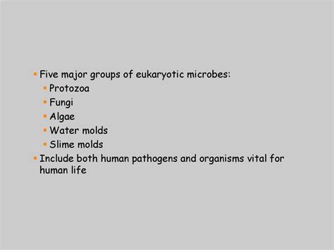 Characterizing And Classifying Eukaryotes Ppt Download