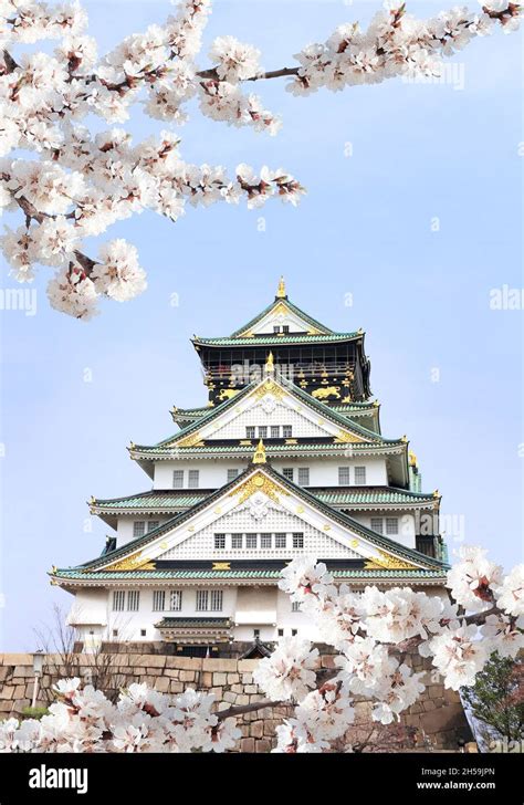 Branch Of The Blossoming Sakura With White Flowers And Osaka Castle