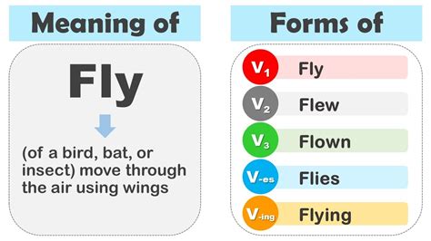 Swim V1 V2 V3 V4 V5 Past Simple And Past Participle Form Of Swim