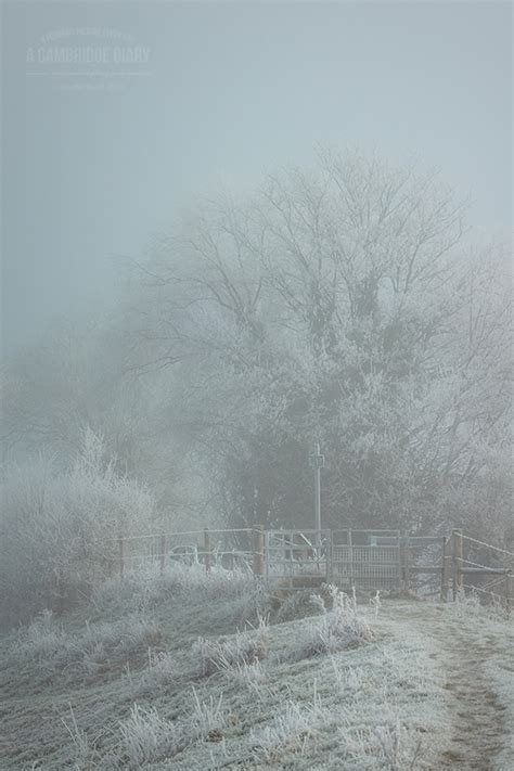 A Cambridge Diary On Twitter Fenlands