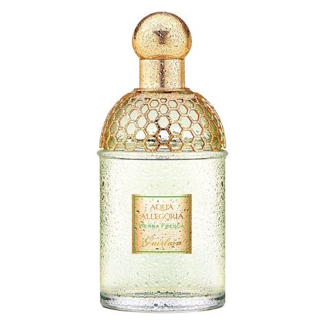 Guerlain Aqua Allegoria Herba Fresca Edt 125ml 661 SEK Dermastore