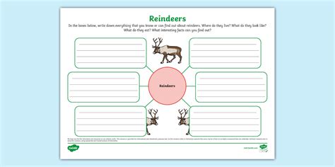 New Reindeers Mind Map L Enseignant A Fait Twinkl