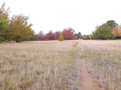 Yarralumla Bay Oval - Yarralumla ACT 2600, Australia