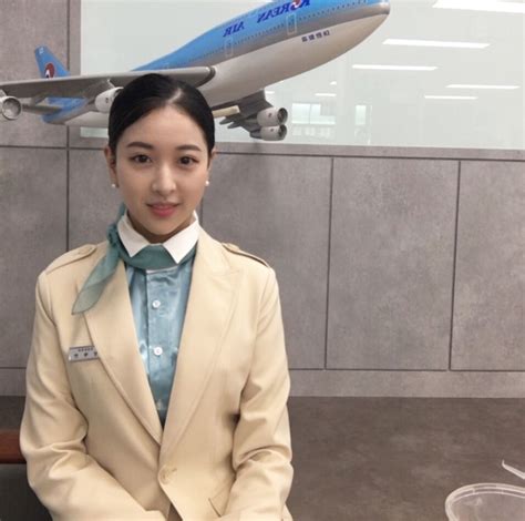 【韓国】大韓航空客室乗務員korean Air Cabin Crew【south Korea】 항공 승무원 승무원 항공