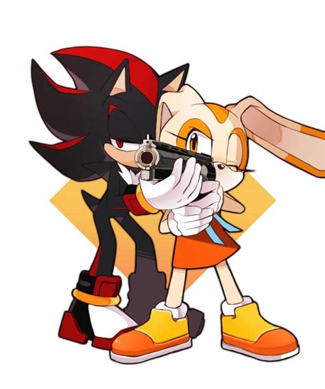 Shadow teach Cream how to shoot | Sonic the Hedgehog | Know Your Meme