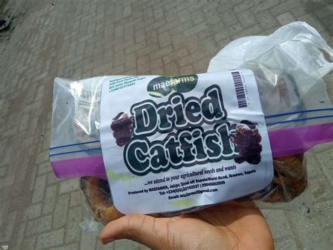 Edible Dried Catfish | Omotayo Durosinmi - Wetinuneed