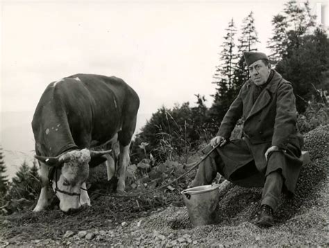 La Vache Et Le Prisonnier Lot Ench Res