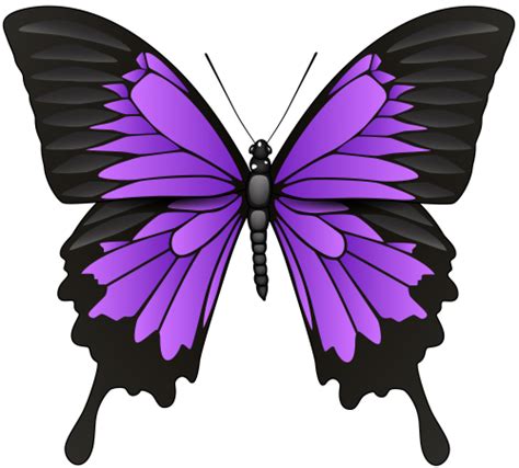 Purple Butterfly PNG Clip Art - Best WEB Clipart