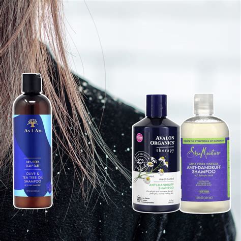 Best Anti Dandruff Shampoos You Need This Winter Hair Care App