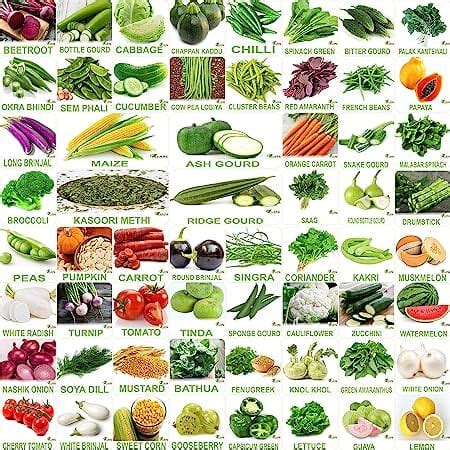 Buy Winter & Summer Vegetable 60 Organic Seeds at Best Price in India