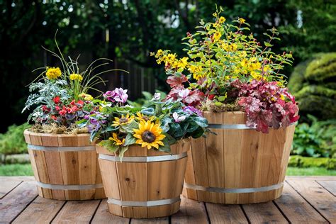 Cedar Planters Real Wood Products