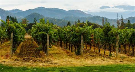 Oregons Troon Vineyard Earns Regenerative Organic Certification