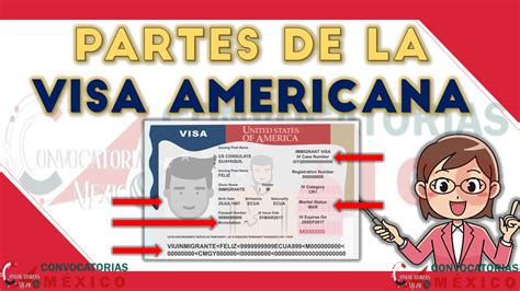 Partes De La Visa Americana Enero