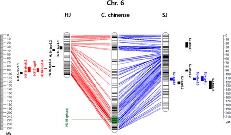 Physical And Linkage Maps Containing The Qtl Positions On Chromosome 6