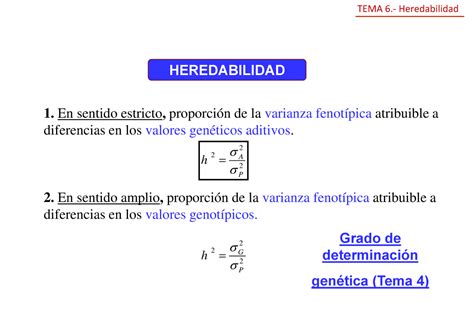 TEMA 6 Heredabilidad Apuntes 6 HEREDABILIDAD 1 En Sentido