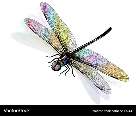 Dragonfly Isolated And Colorful Eps10 Royalty Free Vector