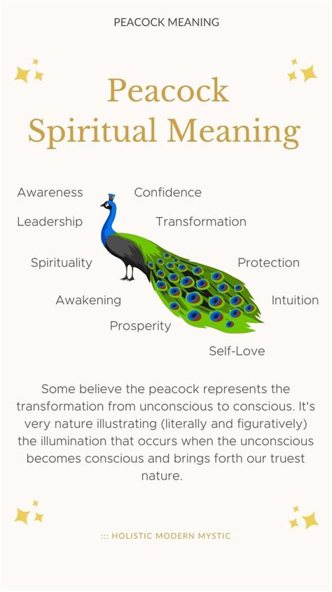 Peacock Spiritual Meaning Animal Symbolism Animal Spirit Guides