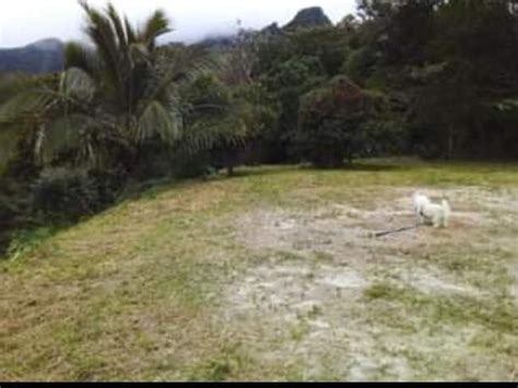 Grundst Ck Zu Verkaufen Laguna De San Carlos Panama Panamawise