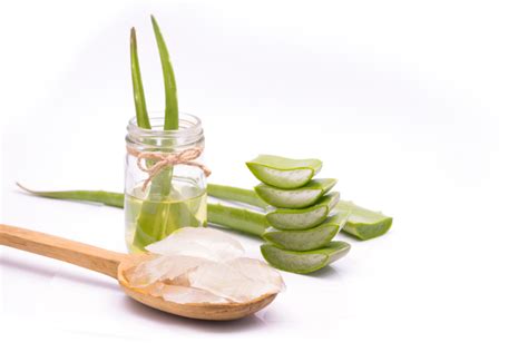 Aloe Vera Crema Quando E Perch Usarla E Come Prepararla In Casa