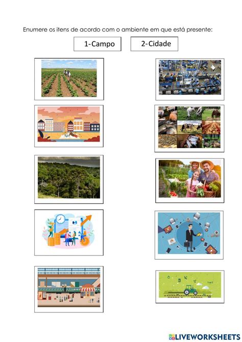 Itera O Entre O Campo E A Cidade Worksheet Spring Activities School